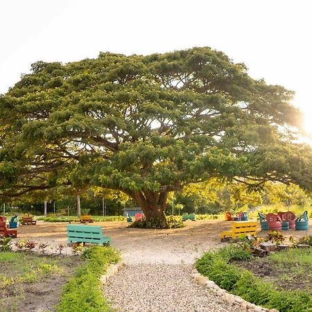Hacienda La Huerta, Puerto Plata Villa Buitenkant foto