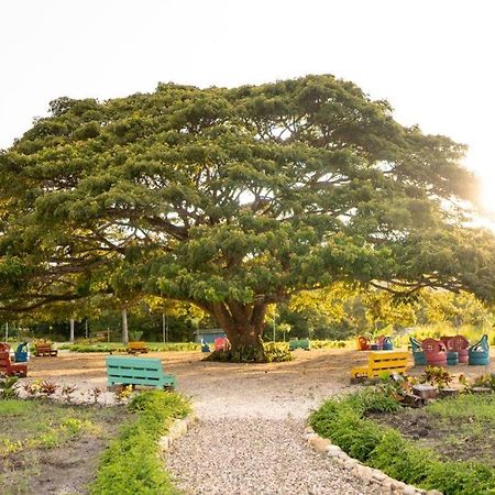 Hacienda La Huerta, Puerto Plata Villa Buitenkant foto