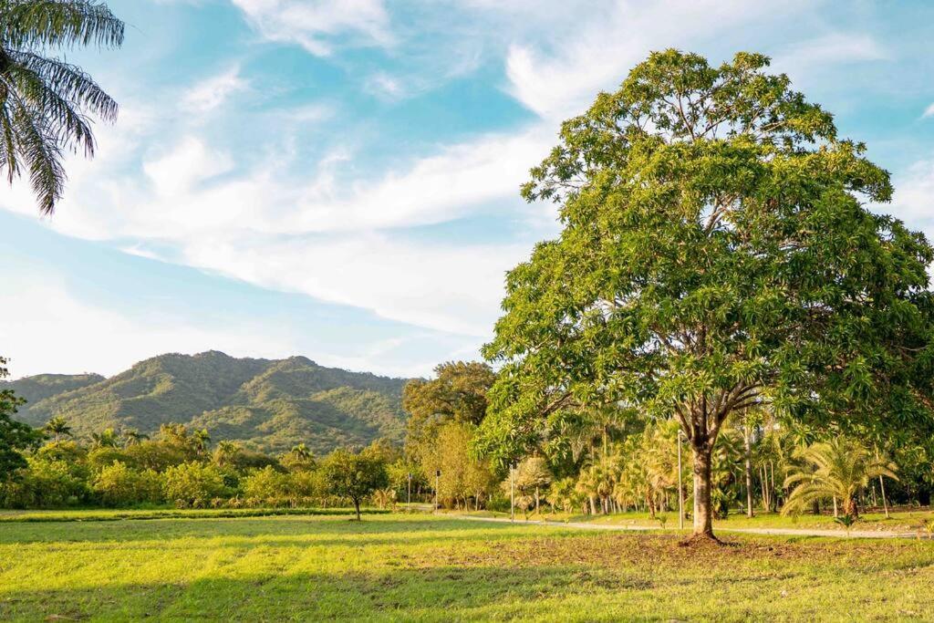 Hacienda La Huerta, Puerto Plata Villa Buitenkant foto