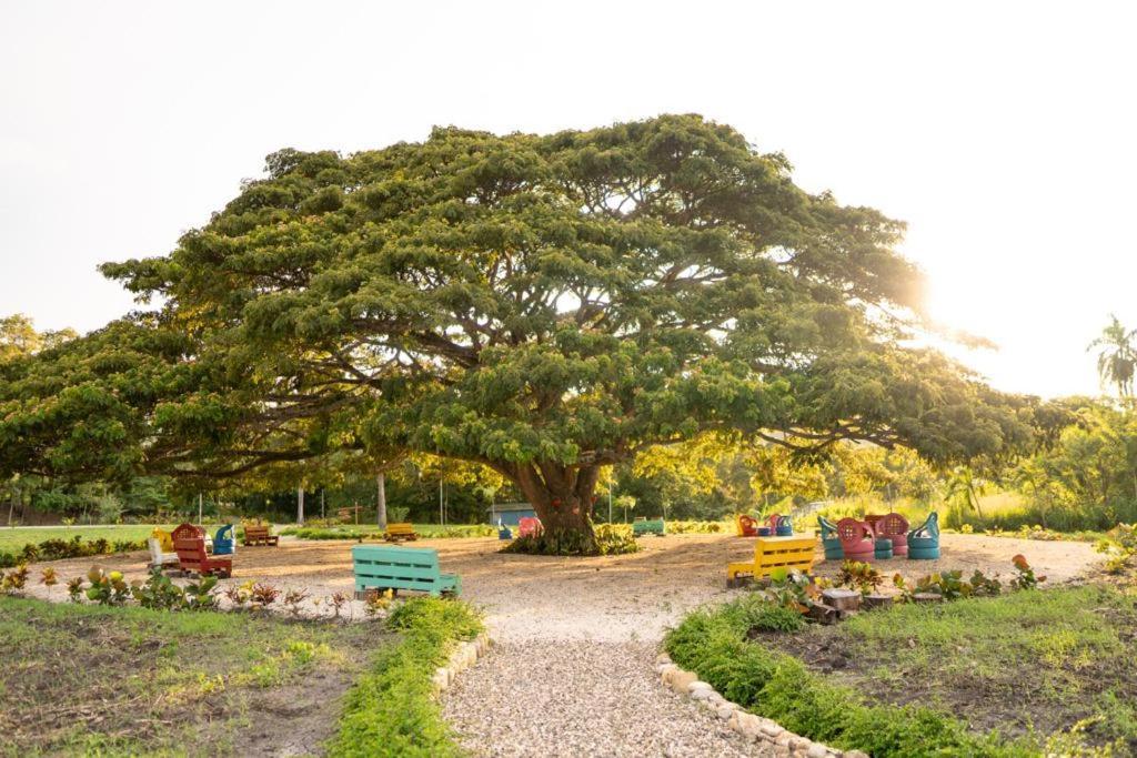 Hacienda La Huerta, Puerto Plata Villa Buitenkant foto